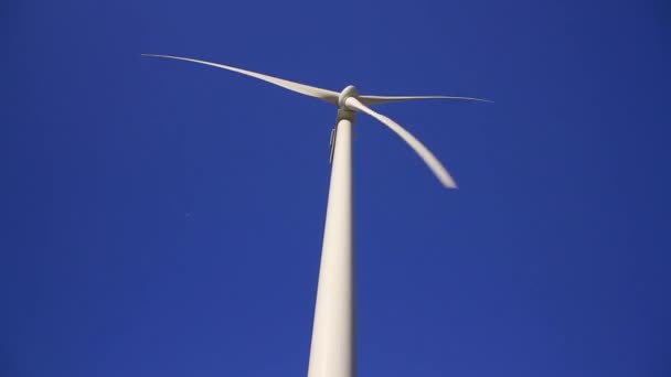 可持续的可再生能源 带有涡轮机的风车 — 图库视频影像