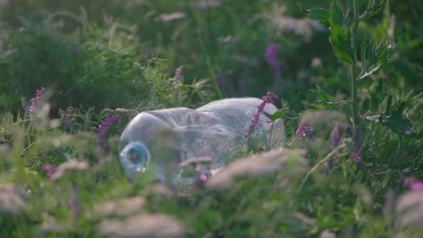 Пластиковая Бутылка Падает Траву Наносящую Вред Окружающей Среде — стоковое видео