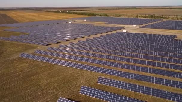 Vista Aérea Paneles Solares Hileras Campos Paisaje Energía Verde Energía — Vídeo de stock