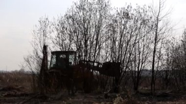 Kovalı bir traktör kırılır ve ağaçları kökünden söker, ekin ekmek için dalları temizler.