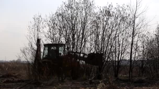 Tractor Con Cubo Rompe Desarraiga Los Árboles Despejando Campo Ramas — Vídeos de Stock
