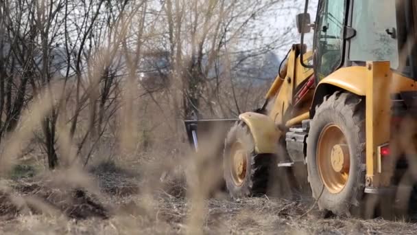 Sko Bulldozer Rydder Jord Træer Buske Skov Bælte Oprydning Skov – Stock-video