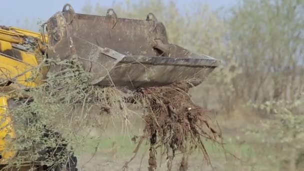 ブルドーザーバケット土石流の領域をクリア木の枝をプルします バケツ付きトラクターがログを引っ張る — ストック動画