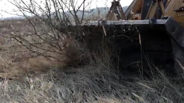 Bulldozer Descompone Árboles Ramas Con Arbustos Cinturón Forestal Campo Con — Vídeos de Stock