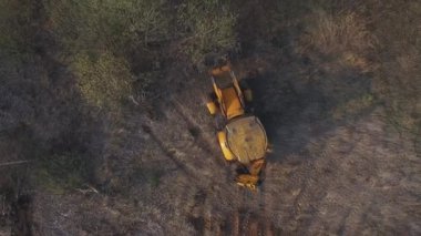 Bir buldozerle ağaç kesiminin havadan görünüşü. Büyük Kazı Makinesi ağaçları kovayla parçalıyor