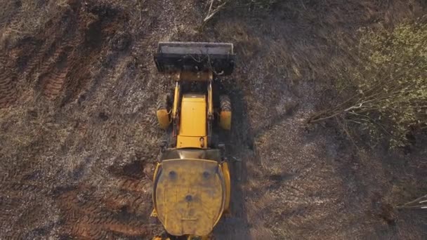 Cortar Árvores Cinto Florestal Para Expandir Campo Destruição Bulldozer Ambiental — Vídeo de Stock