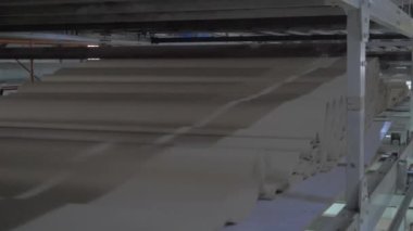 Kağıt değirmeni taşıma bandında oyulmuş karton hamuru. Sanayi otomatiği Kraft kutuları ve kutular