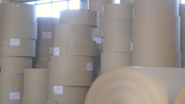 Carretes Grandes Soporte Papel Marrón Cartón Kraft Almacén Producción Cajas — Vídeo de stock