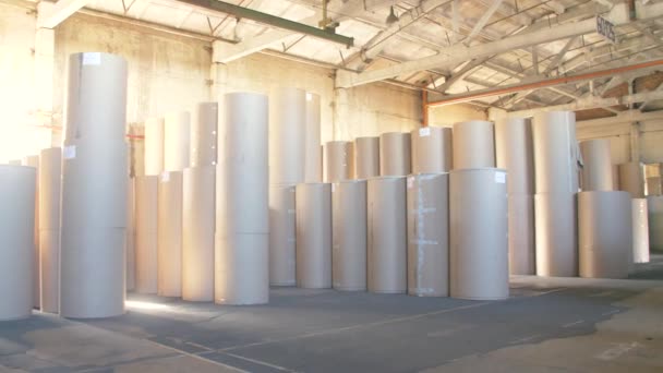 Corrugated Paper Roll Warehouse Cardboard Box Factory — Vídeo de stock