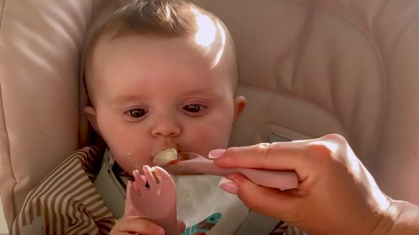 Немовлята Доповнюють Годування Ложки Вперше Дитячий Обід Додатковою Їжею — стокове відео