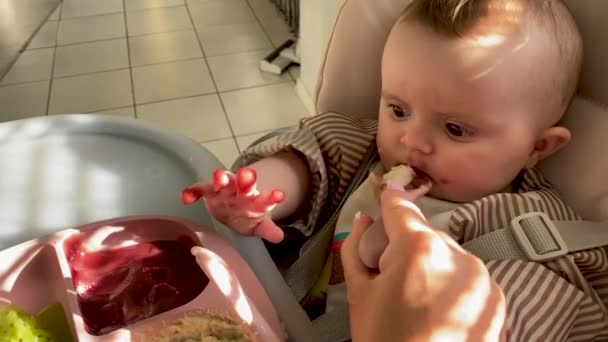 小さな赤ちゃんのスプーン 高い椅子に給餌 母は台所で娘を養う — ストック動画
