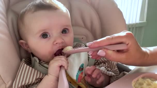 Moeder Lepel Voedt Baby Eerste Maaltijd Van Haar Leven Vers — Stockvideo