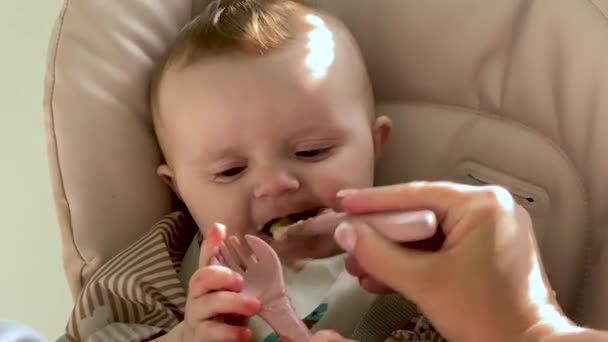 Baby Eet Van Een Lepel Eerste Maaltijd Aanvullende Voeding Voor — Stockvideo