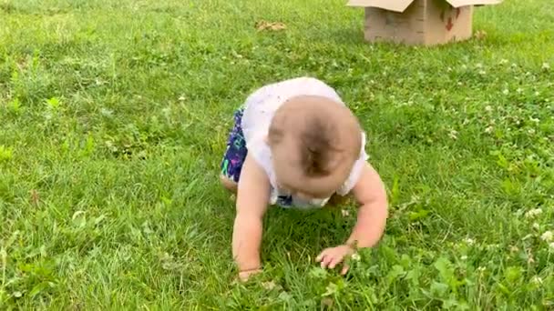 Ребенок Ползает Траве Парке Маленькая Девочка Учится Ходить — стоковое видео