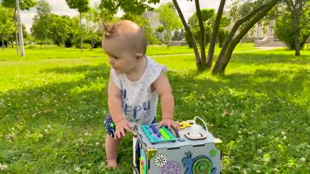 Neugeborenes Neun Monate Altes Mädchen Spielt Park Mit Spielzeug Gras — Stockvideo