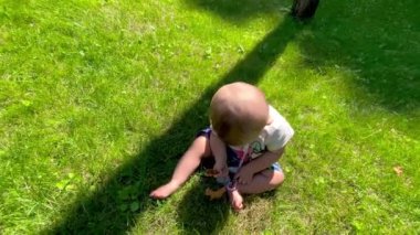 Çimlerde tek başına oynayan güzel bir kız bebek. Bebek çimenlerde oturuyor.
