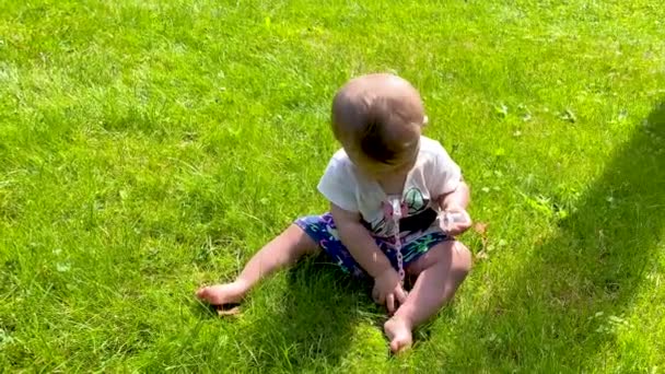 Parktaki Çimenlikte Oynayan Güzel Küçük Kız Güneşli Bir Günde Bebekle — Stok video