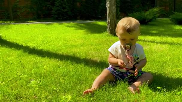 Dziecko Bawiące Się Trawie Trawniku Pięknym Parku — Wideo stockowe