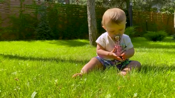 Söt Liten Flicka Baby Leker Det Gröna Gräset Gräsmattan Solig — Stockvideo