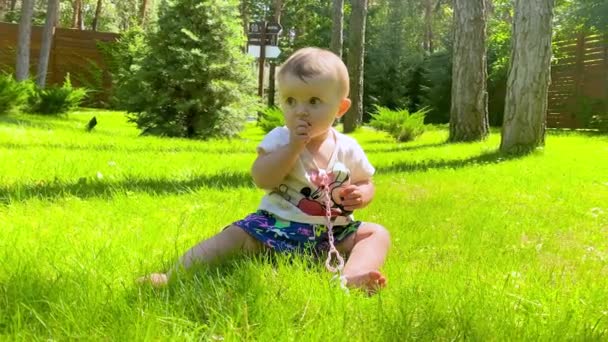 Lindo Bebê Sentado Grama Gramado Parque Brincando Com Ela Mesma — Vídeo de Stock