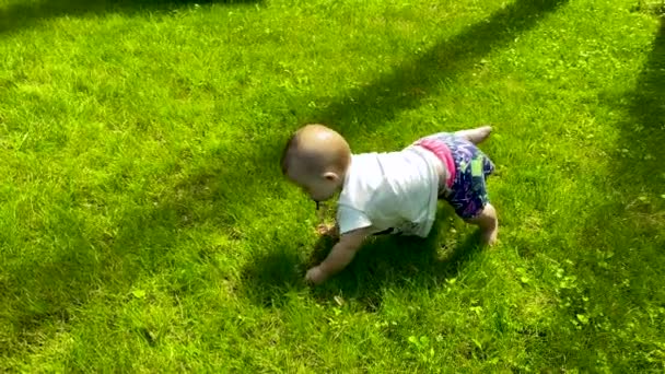 Barnets Första Steg Grön Gräsmatta Baby Försöker Krypa Gräset — Stockvideo