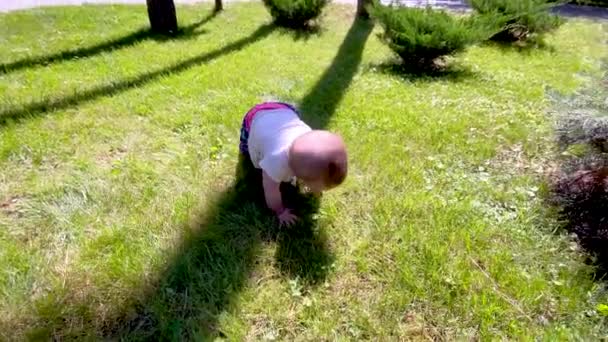 陽気な赤ん坊 1歳のクロール カメラの草の上 歩くことを学ぶ小さな赤ちゃん — ストック動画