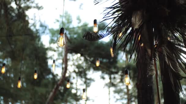 Külső Retro Lámpák Dekoráció Elmosódott Háttér Kívül Ünneplés Esküvő Fenyőerdő — Stock videók
