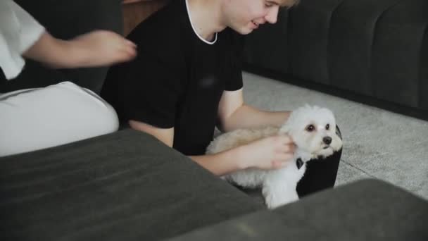 Young Man Holding Dog His Arms Play Small Dog Cute — Video