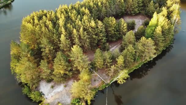 湖の真ん中に松の木と小さな島の空中ビュー 島のクローズアップショット 4K映像 — ストック動画
