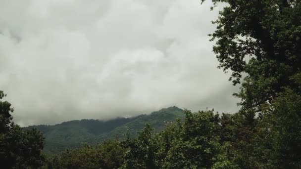 Пейзаж Гір Туман Хмари Над Горами Гори Фону Природа Похмура — стокове відео