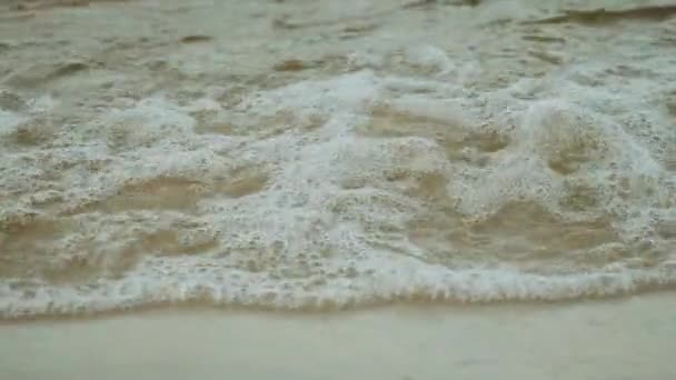 Břeh Velké Řeky Zpomalený Výstřel Zblízka Vlny Omývají Písčité Pobřeží — Stock video