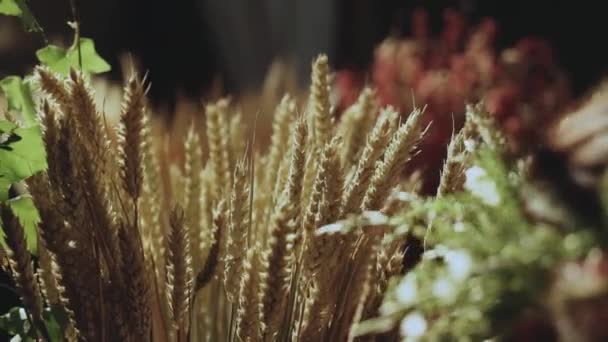 Anyagok Szárított Virágok Csokor Száraz Tüskék Fülek Rozs Szélben Felkészülés — Stock videók