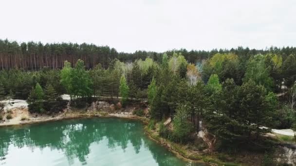 Vista Aérea Hermoso Paisaje Lago Azul Bosque Pinos Naturaleza Ucrania — Vídeo de stock