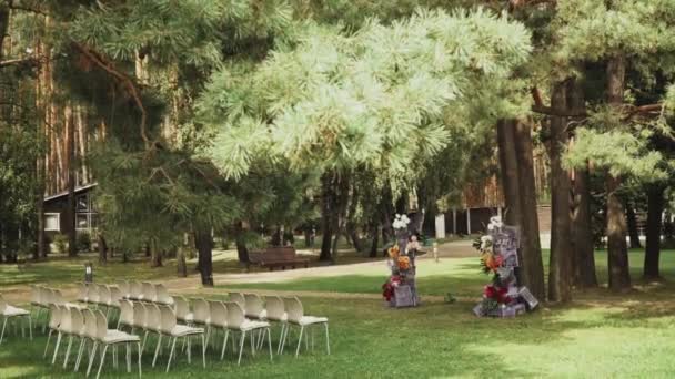 观赏植物装饰的婚礼拱椅和松树下的白色椅子 动作缓慢 外面的婚礼在阳光灿烂的日子举行在公园里 Fullhd视频 — 图库视频影像