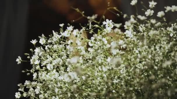 Beyaz Çiçeklerle Açarlar Rüzgar Güzel Beyaz Çiçeklere Esiyor Ağır Çekimde — Stok video