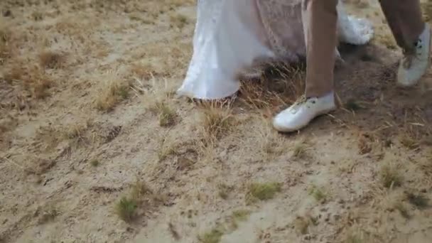 花嫁と新郎は手を取り フィールド全体を歩く 夏の結婚式 ボーフスタイル 近くを歩く足 スローモーションショット 高品質4K映像 — ストック動画