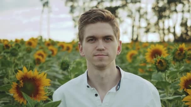 Yakın Plan Bir Adam Ayçiçeği Tarlasında Yürüyor Yaz Bulutlu Havalarda — Stok video
