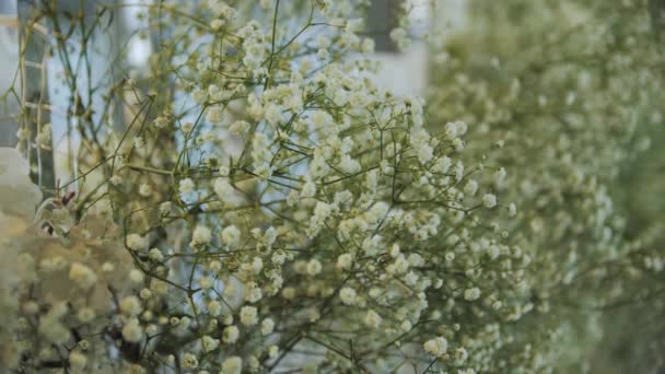 Bouquet Gypsophila Paniculata White Close Slow Motion Wedding Floristic Decoration — Stockvideo