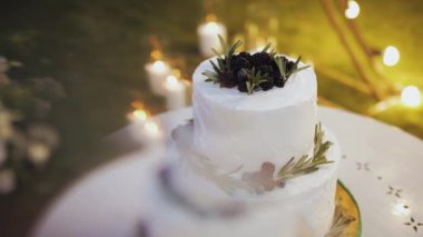 Close-up beautiful wedding cake decorated with blueberrys in the evening near the arch, bulb lamps on the background, slow motion. High quality 4k footage