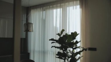 Siluet yeşil ağaç, pencerenin yanında beyaz şeffaf tüllü. Dolly 'nin minimal stil iç dekorasyon çekimi, yavaş çekim. Yüksek kalite 4k görüntü