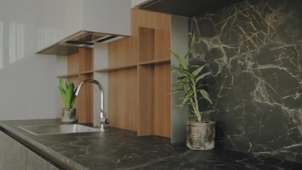 Wastafel Dapur Dan Keran Interior Dilengkapi Dengan Tanaman Interior Black — Stok Video