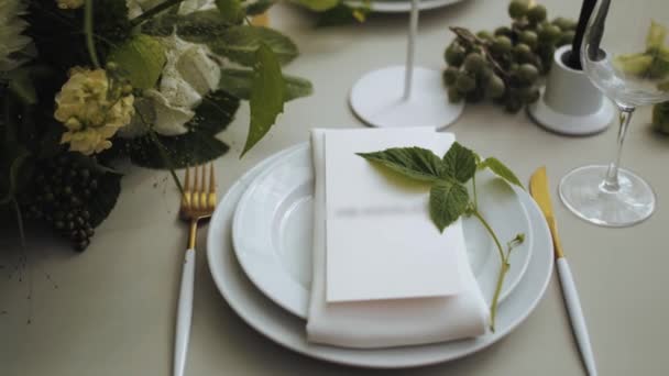 Beau Décor Mariage Tout Décoré Dans Style Blanc Vert Assiettes — Video