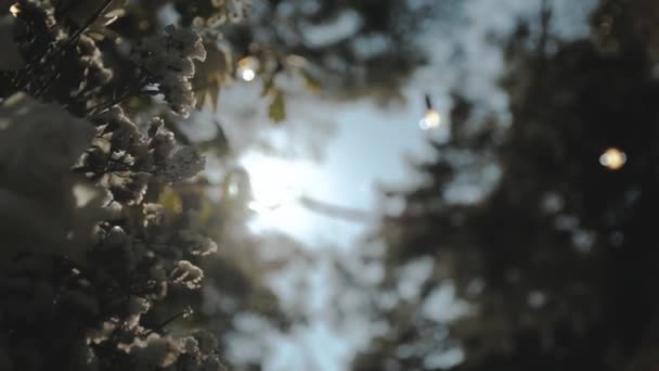 Promienie Słońca Świecą Przez Łuk Close Widok Ślubne Dekoracje Kwiatowe — Wideo stockowe