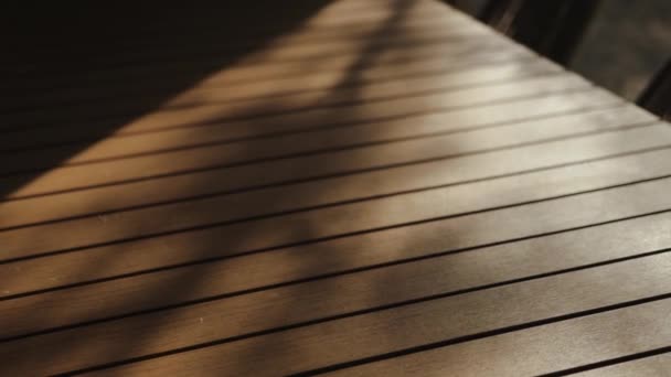 Dolly Shot Shadow Branch Leaves Hits Wooden Table Slow Motion — Video