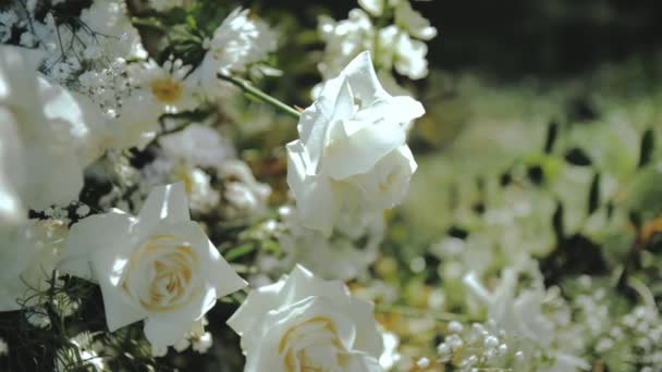 Ramo Cerca Rosas Blancas Frescas Con Hojas Verdes Detalles Del — Vídeos de Stock