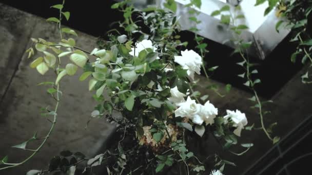 Vacker Blomsterkomposition Med Vita Rosor Och Grönska Hängande Från Taket — Stockvideo