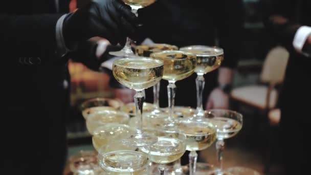 Waiter Black Gloves Raises Glass Champagne Tower Restaurant Guest Wedding — Stock Video