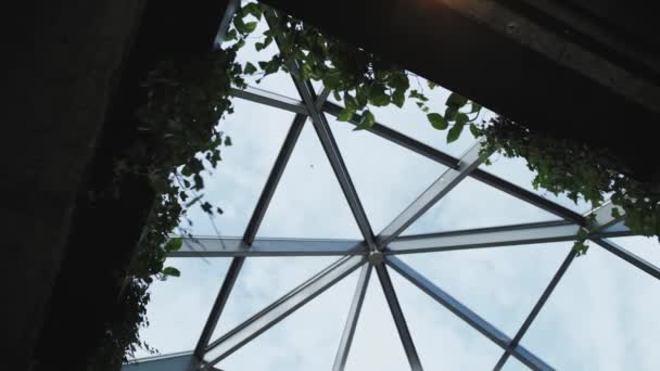 Teto Vidro Prédio Escritórios Vegetação Pendurada Teto Detalhes Arquitetura Moderna — Vídeo de Stock