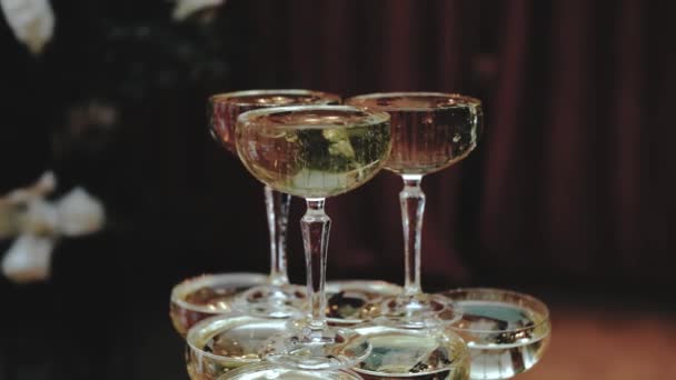 Gläser Mit Champagner Großaufnahme Champagnerturm Bei Der Hochzeit Catering Service — Stockvideo