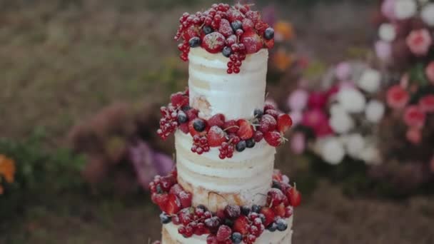 特写的婚礼蛋糕顶部装饰着浆果 桌上有白色桌布 靠近户外婚礼拱门 夜间装饰着白色 粉红色的花朵 动作缓慢 4K镜头 — 图库视频影像